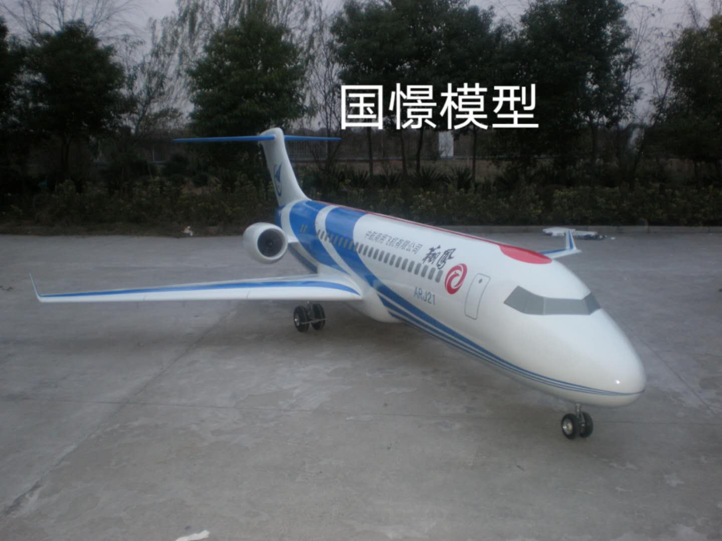 永兴县飞机模型