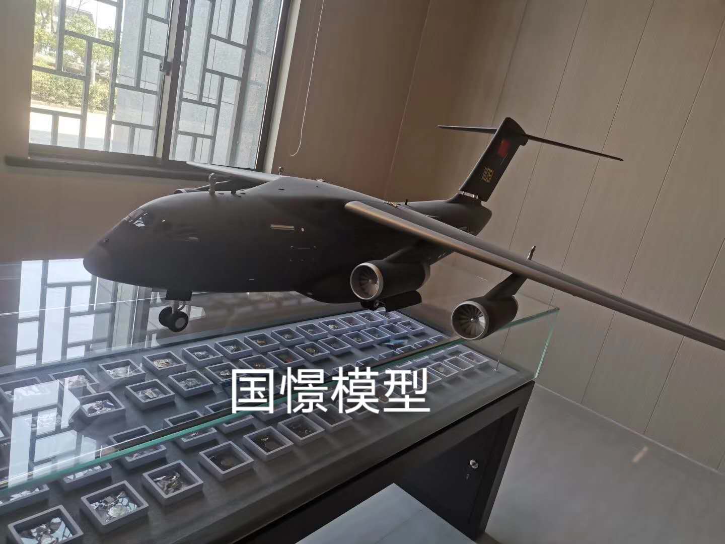 永兴县飞机模型
